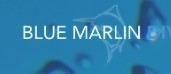 Local Business Blue Marlin Dive in North Lombok Regency West Nusa Tenggara West Nusa Tenggara