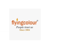 Flying Colour Business Setup Services