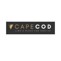Local Business Cape Cod Car Service in Boston 