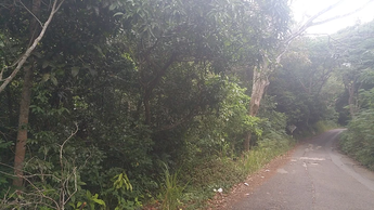 Residential Lot located at 7A Poinciana Drive in the St. Andrew