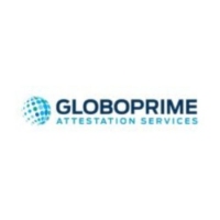 Local Business Globoprime India in Chennai TN