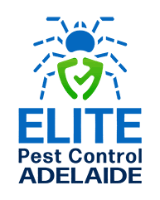 Local Business Elite Pest Control Adelaide in Henley Beach South SA