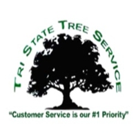 Local Business Tree-State Tree Service in Pensacola FL
