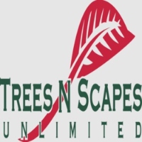 Local Business Trees N Scapes Unlimited in Bentonville AR
