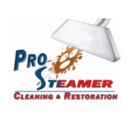 Pro Steamer Cleaning and Restoration