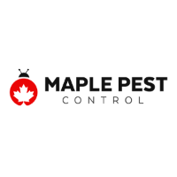 Local Business Maple Pest Control in Maple ON