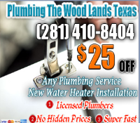 Local Business Plumbing The Woodlands Texas in The Woodlands TX