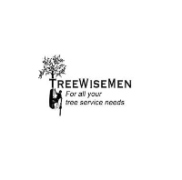Local Business TreeWiseMen in Bluffton SC