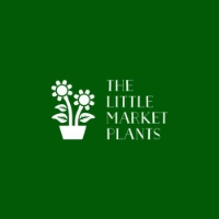 plants delivery Melbourne - The little market plants