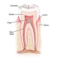 geetanjali dental