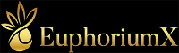 Local Business EuphoriumX Ltd in Enfield England