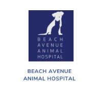 Local Business Beach Avenue Animal Hospital in Vancouver BC