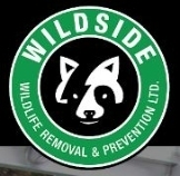 Local Business Wildside Wildlife Removal & Prevention Ltd. in Burlington ON