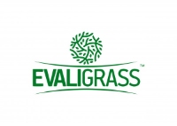 Local Business Evaligrass in New York NY