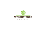 Local Business Wright Tree Service in Ottawa ON