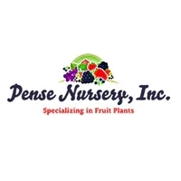 Local Business Pense Nursery, Inc. in Mountainburg AR