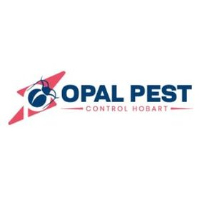 Local Business Opal Pest Control Hobart in Hobart TAS