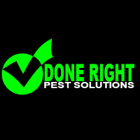 Local Business Done Right Pest Solutions in Lakeland MN