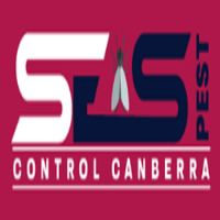 Local Business Silverfish Removal Canberra in Canberra ACT