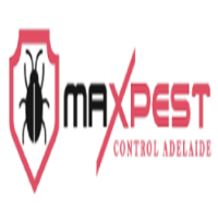 Local Business Bed Bug Removal Adelaide in Adelaide SA