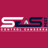 Local Business Spider Pest Control Canberra in Canberra ACT