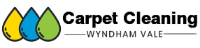Local Business Carpet Cleaning Wyndham Vale in Wyndham Vale VIC