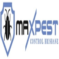 Local Business Cockroach Pest Control Brisbane in Brisbane City QLD