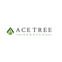 Local Business Ace Tree Service in Folsom CA