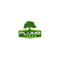 Local Business Plumb Trees in Croydon Park NSW