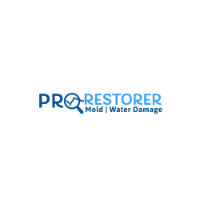 Local Business DC Mold Inspection & Removal - Pro Restorer in  DC