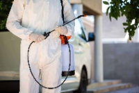 Local Business Massey Pest Control Adelaide in Adelaide SA
