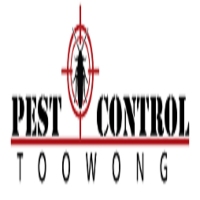 Local Business Pest Control Toowong in Toowong QLD