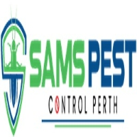 Local Business Wasp Control Peth in Perth WA