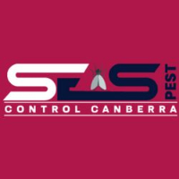 Possum Pest Control Canberra