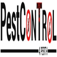 Possum Control Perth