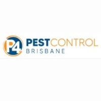 Local Business Best Bird Control Brisbane in Brisbane City QLD