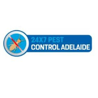 Spider Inspection Adelaide