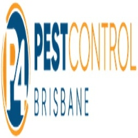 Ants Pest Control Brisbane