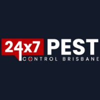 Local Business Ant Removal Brisbane in Brisbane QLD