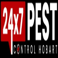 Spider Pest Control Hobart