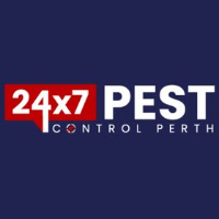 Local Business Spider Inspection Perth in Perth WA