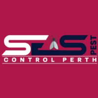 Bee Control Perth