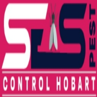 Possum Pest Control Hobart
