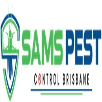 Local Business Bee Exterminator Brisbane in  QLD