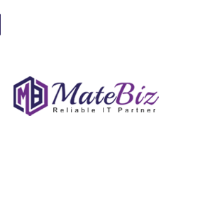 Local Business Matebiz Pvt Ltd in  DL