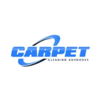 Local Business Carpet Cleaning Ashgrove in Ashgrove QLD