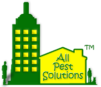 Local Business All Pest Solutions in  TX