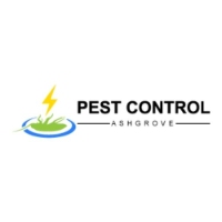 Local Business Pest Control Ashgrove in Ashgrove QLD