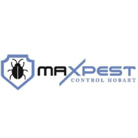 Flea Pest Control Hobart