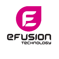 Local Business eFusion Technology Pte Ltd in  